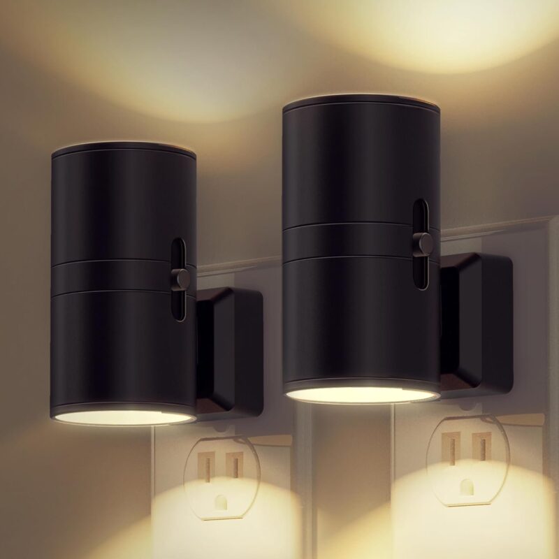 The LuminaGuard Dusk-to-Dawn Sensor Light