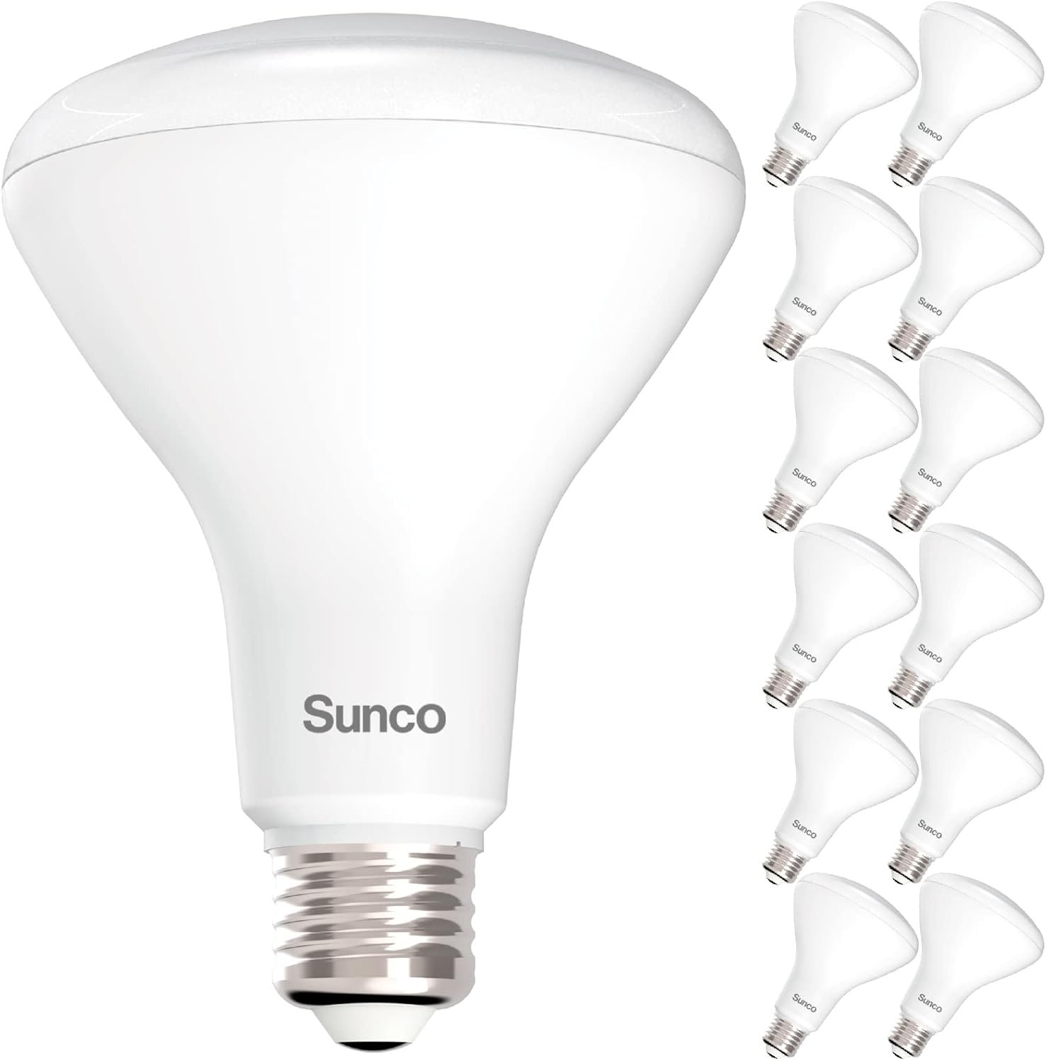 The Recessed Brilliance BR30 | 12-Pack Value Set