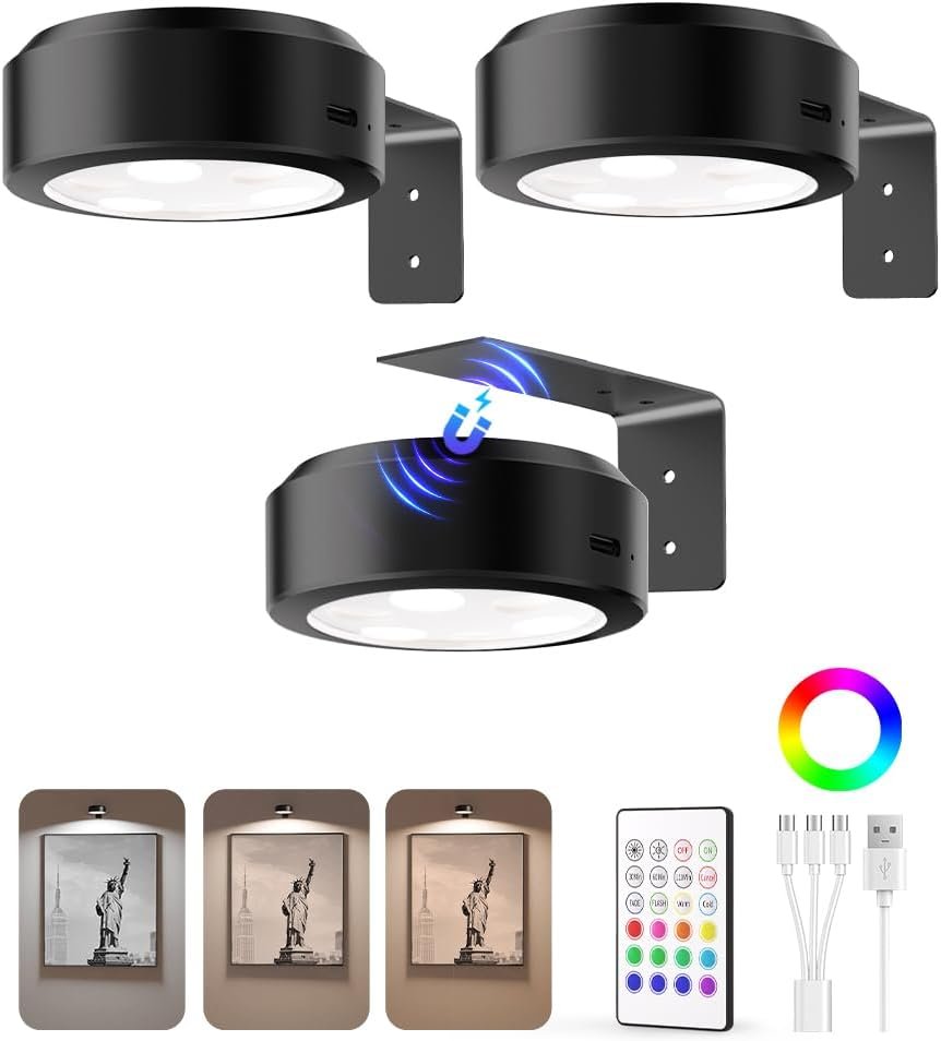 The Artisan Spotlight | Rechargeable Magnetic Picture Light